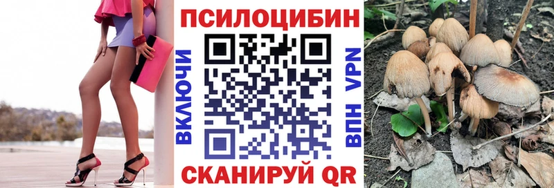 darknet состав  как найти закладки  Новошахтинск  Галлюциногенные грибы MAGIC MUSHROOMS 